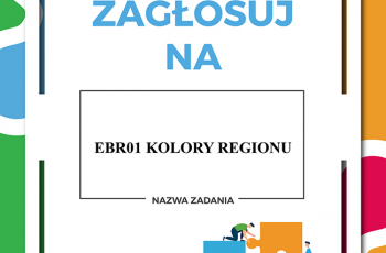 Plakat głosowanie EBR01
