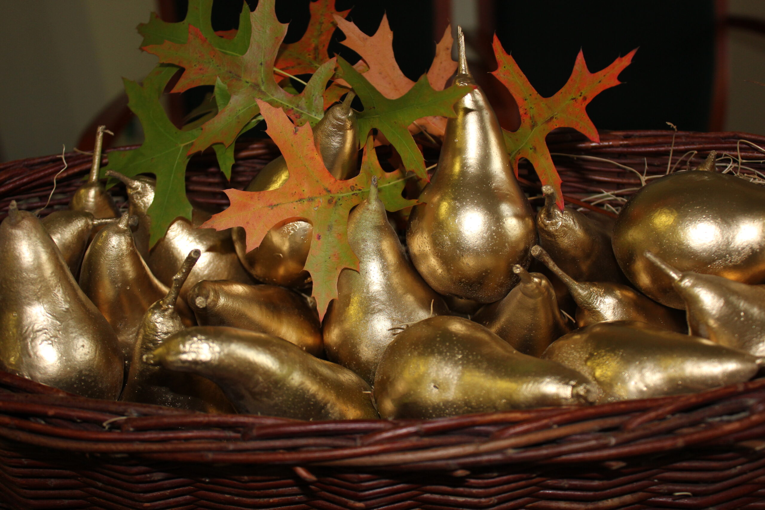 2017_12_05_zlota_grusza_2