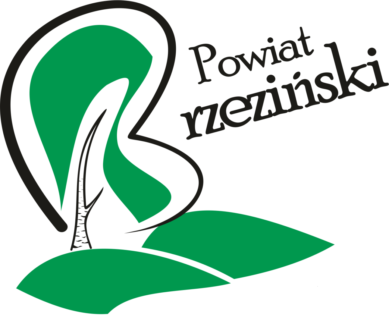logo_powiatu_28
